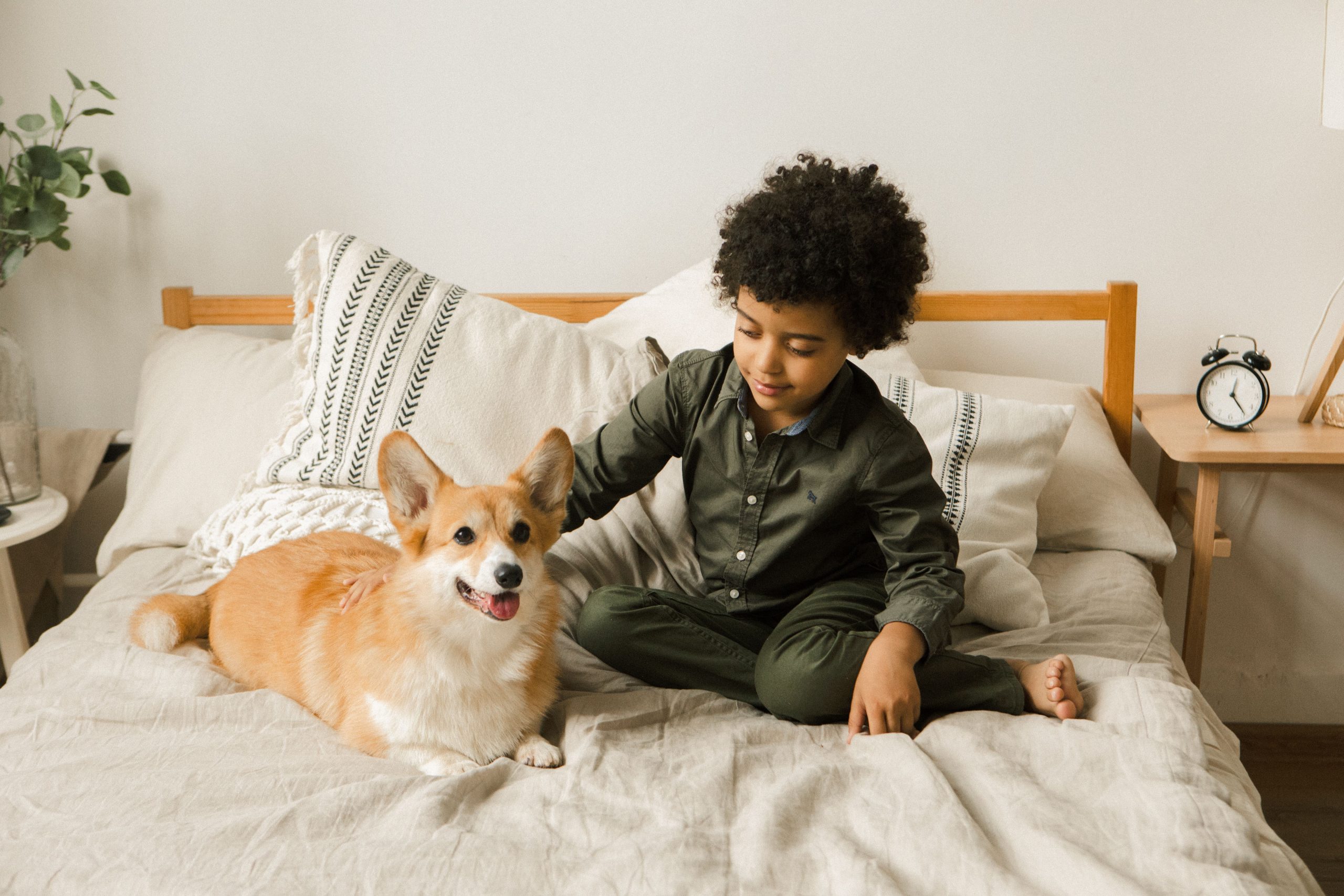 Child and dog on soft bedding